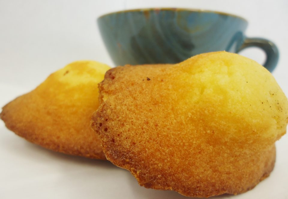 Madeleines  Nature