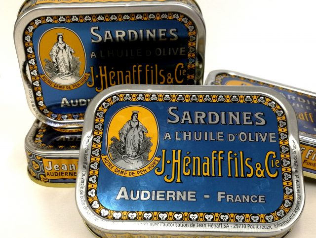 Sardines